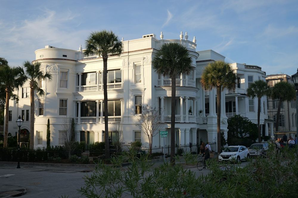 Charleston Battery homes with palmettos